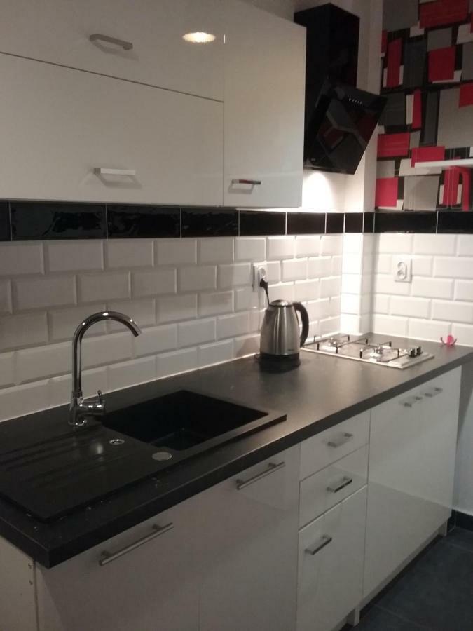 Vintage - Rose Apartament Stary Toruń Εξωτερικό φωτογραφία