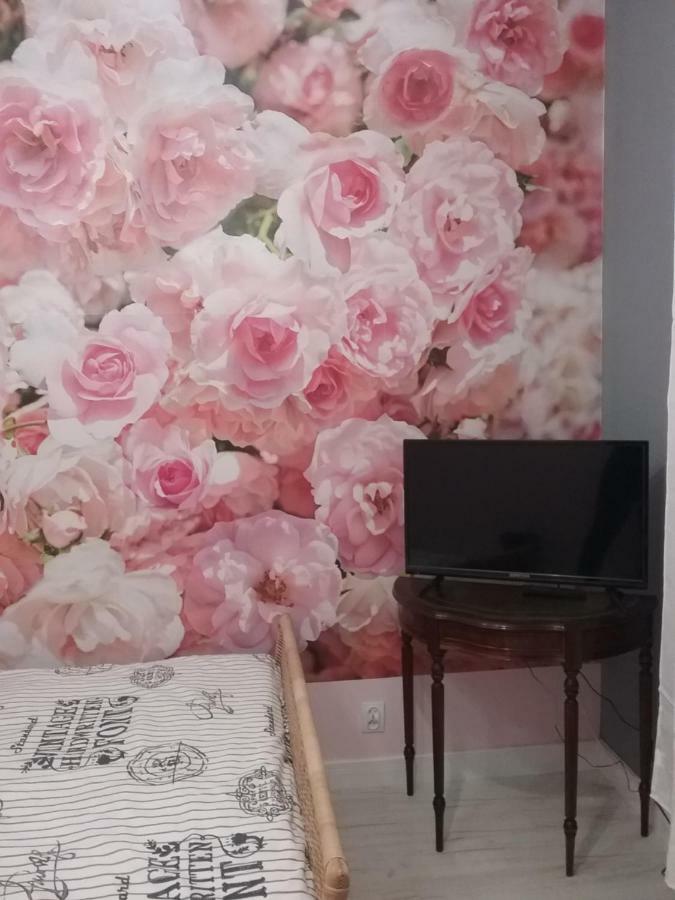 Vintage - Rose Apartament Stary Toruń Εξωτερικό φωτογραφία