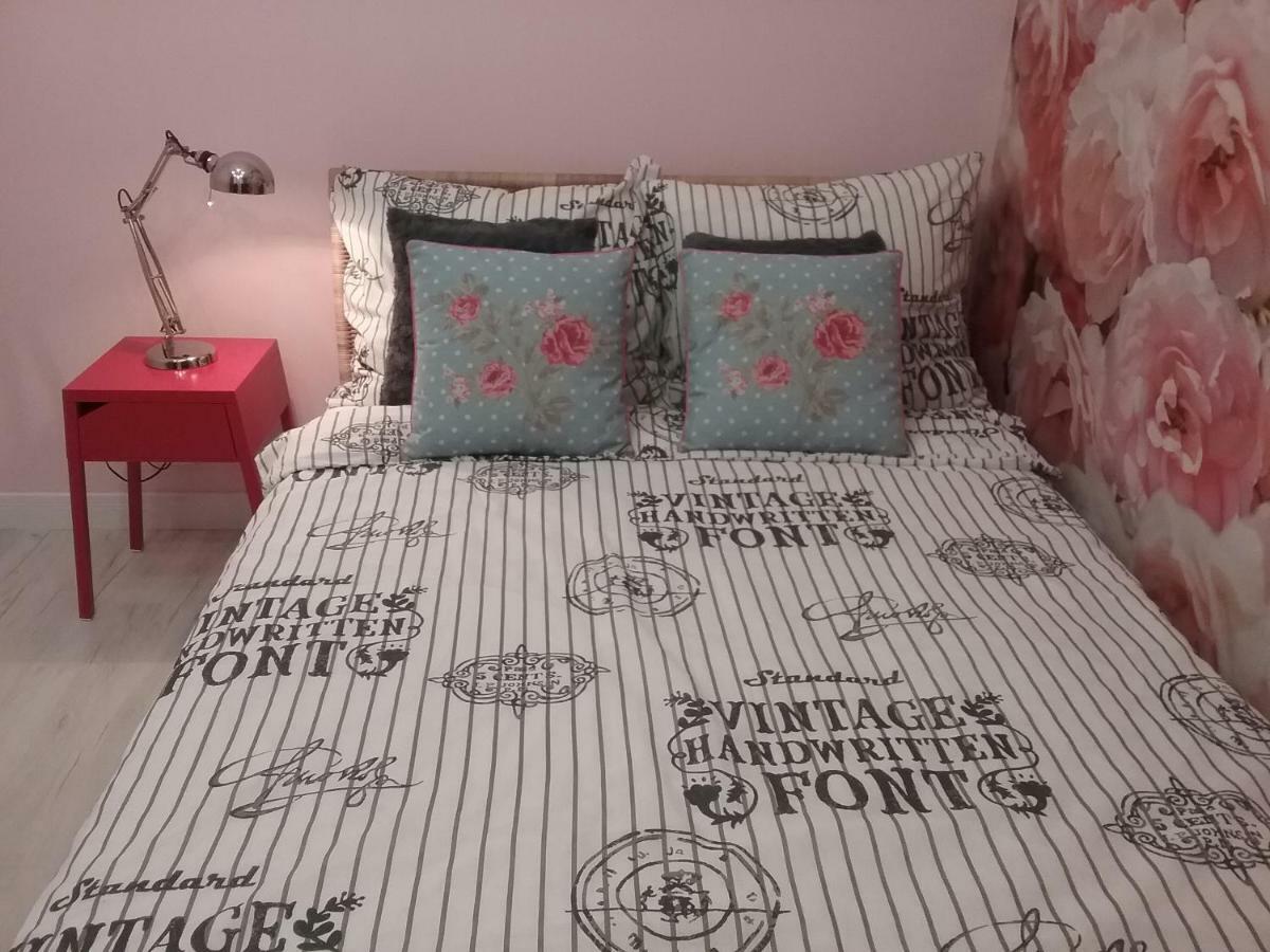 Vintage - Rose Apartament Stary Toruń Εξωτερικό φωτογραφία