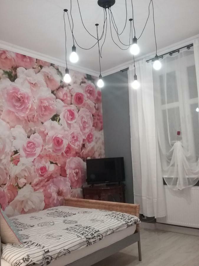 Vintage - Rose Apartament Stary Toruń Εξωτερικό φωτογραφία