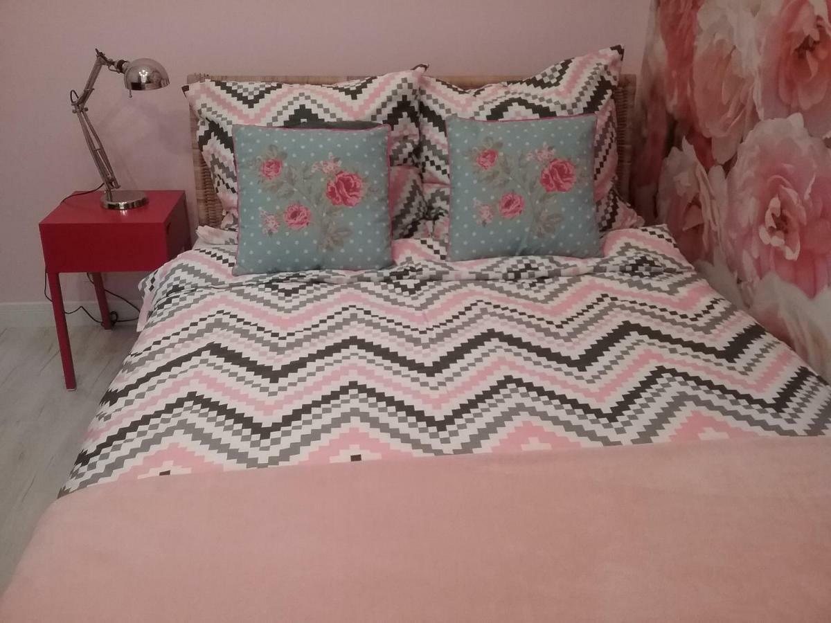 Vintage - Rose Apartament Stary Toruń Εξωτερικό φωτογραφία