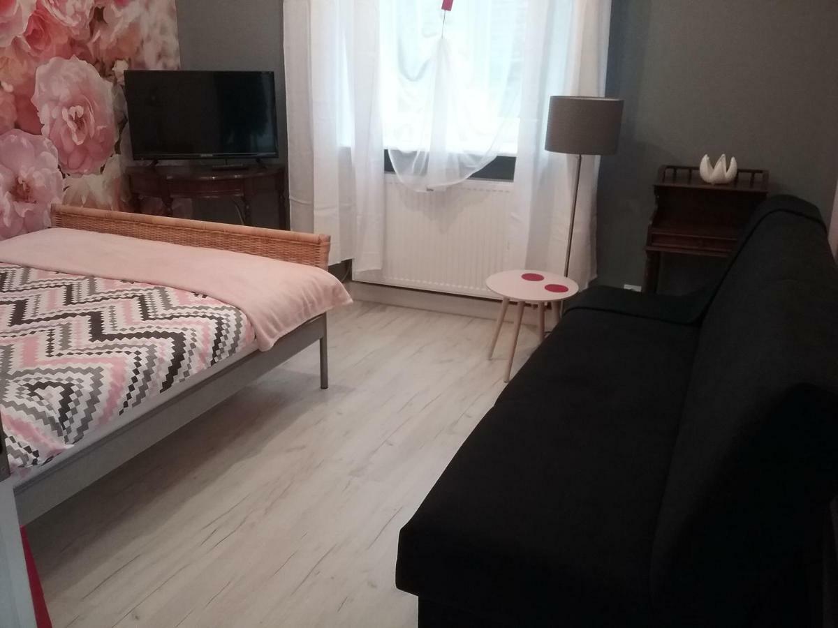 Vintage - Rose Apartament Stary Toruń Εξωτερικό φωτογραφία